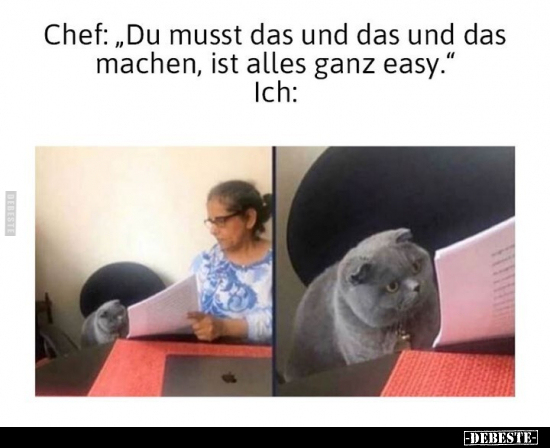 Chef: "Du musst das und das und das machen, ist alles ganz.." - Lustige Bilder | DEBESTE.de