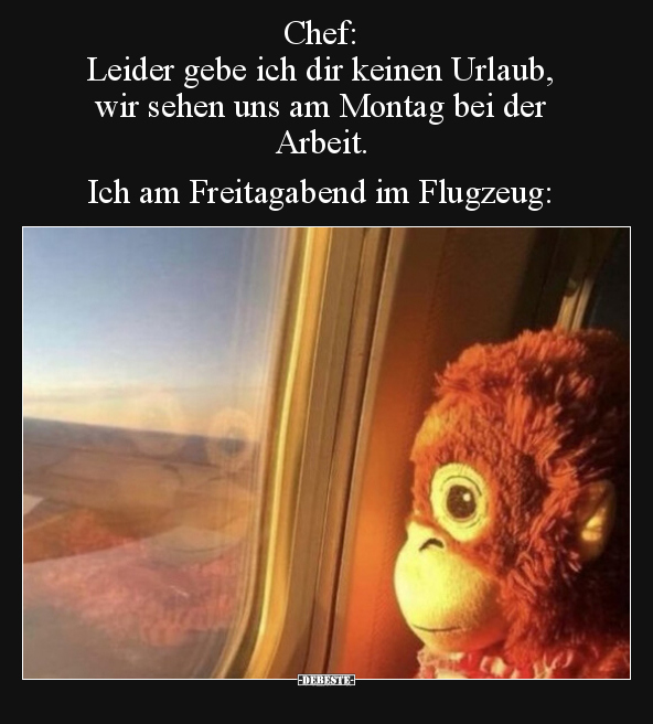 Chef: Leider gebe ich dir keinen Urlaub, wir sehen uns am.. - Lustige Bilder | DEBESTE.de