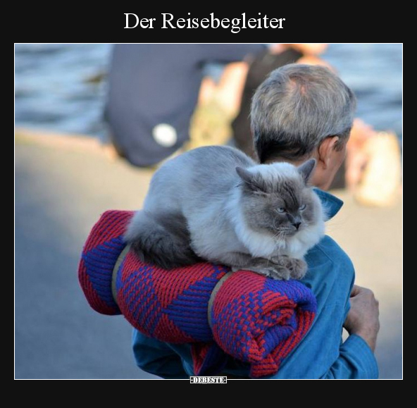 Der Reisebegleiter.. - Lustige Bilder | DEBESTE.de