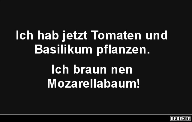 Ich hab jetzt Tomaten und Basilikum pflanzen.. - Lustige Bilder | DEBESTE.de