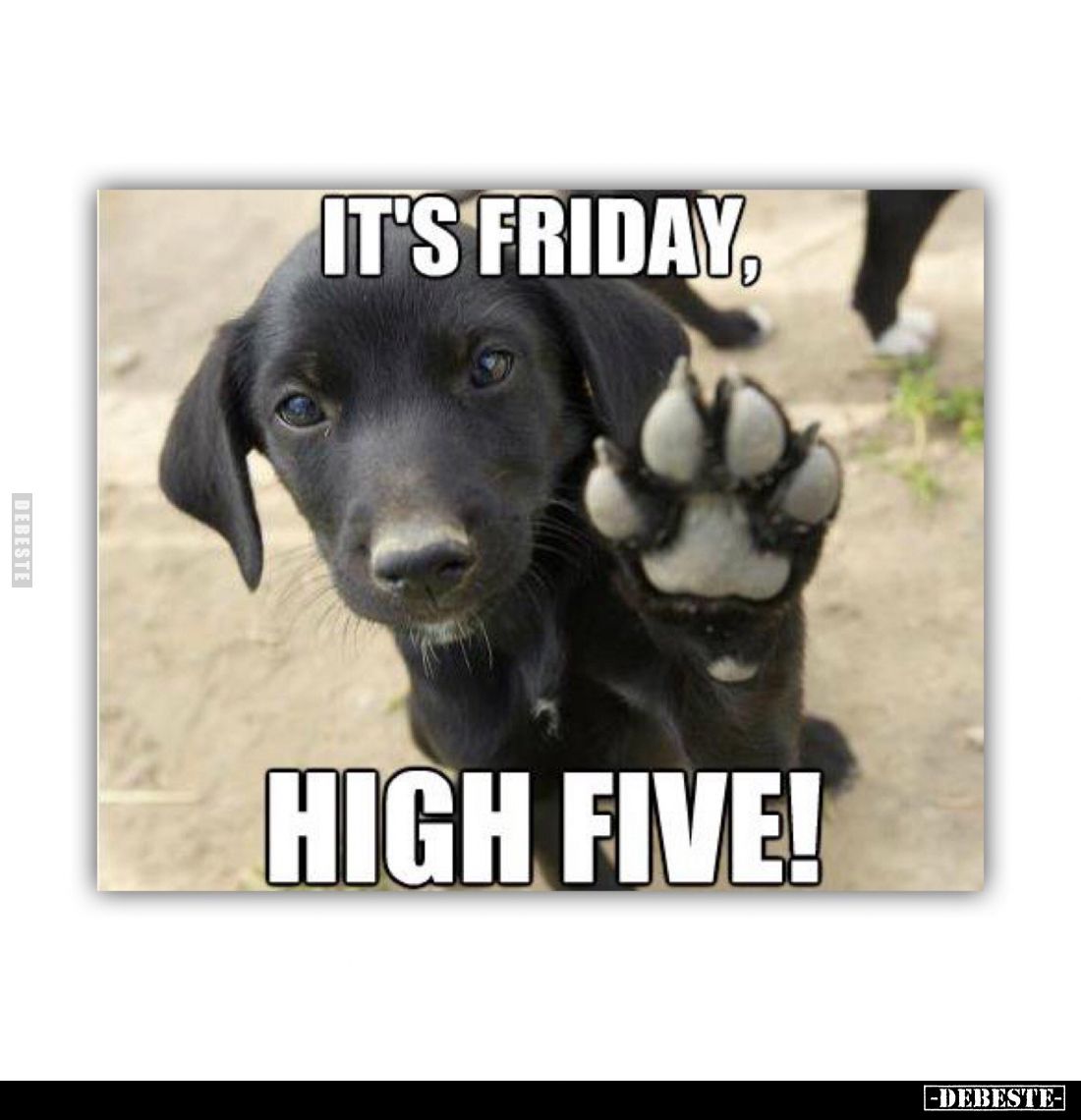It's friday, high five!.. - Lustige Bilder | DEBESTE.de