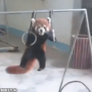  - Lustige Bilder | DEBESTE.de