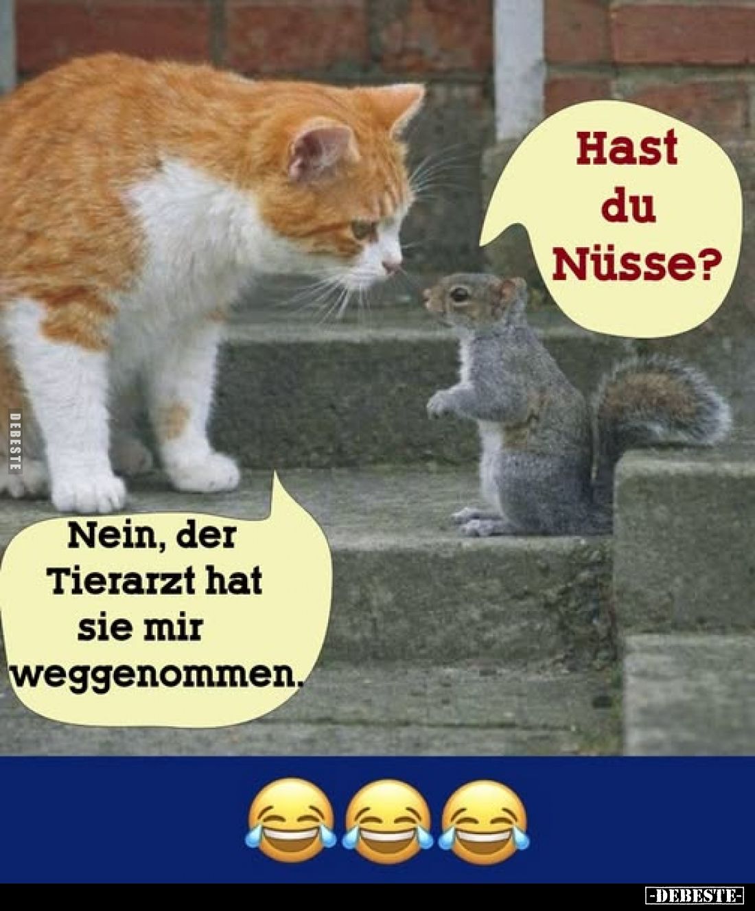 Hast du Nüsse?
-
Nein, der Tierarzt hat sie mir weggenommen.