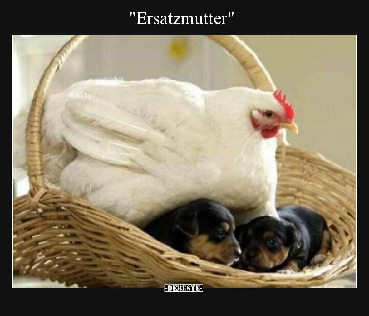 Ersatzmutter