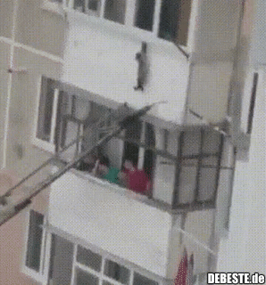 Ein Kätzchen in einer misslichen Lage retten..