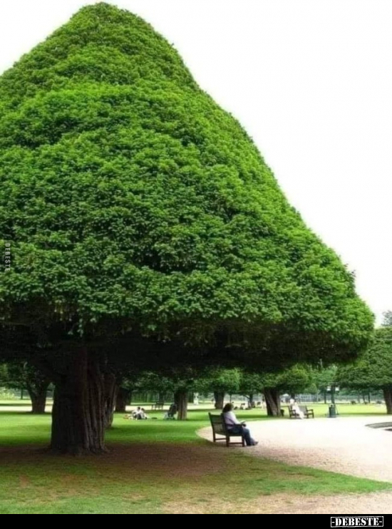  - Lustige Bilder | DEBESTE.de