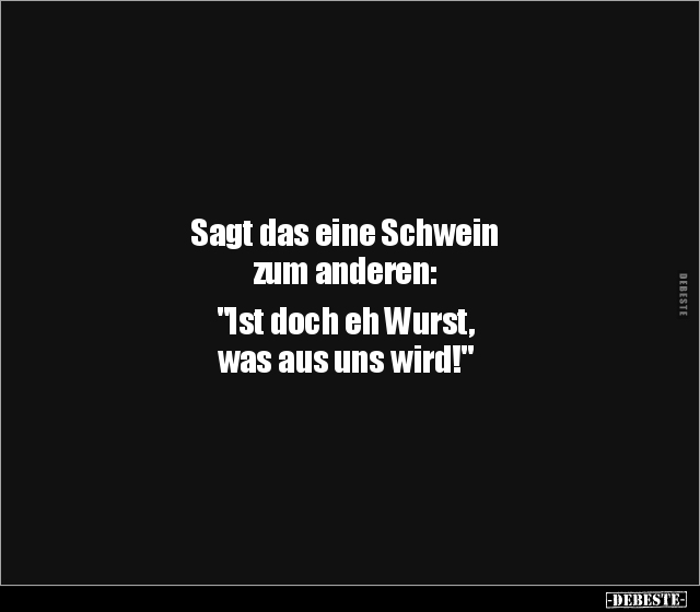 Sagt das eine Schwein zum anderen: "Ist doch eh Wurst.." - Lustige Bilder | DEBESTE.de
