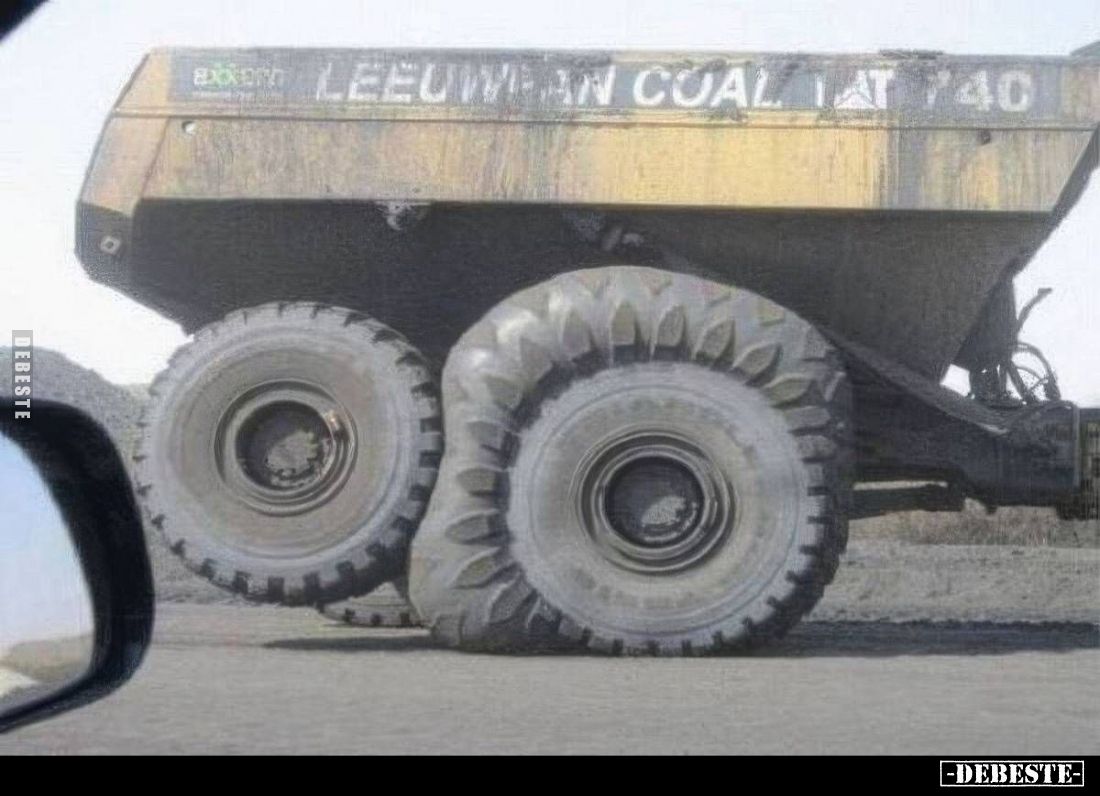  - Lustige Bilder | DEBESTE.de