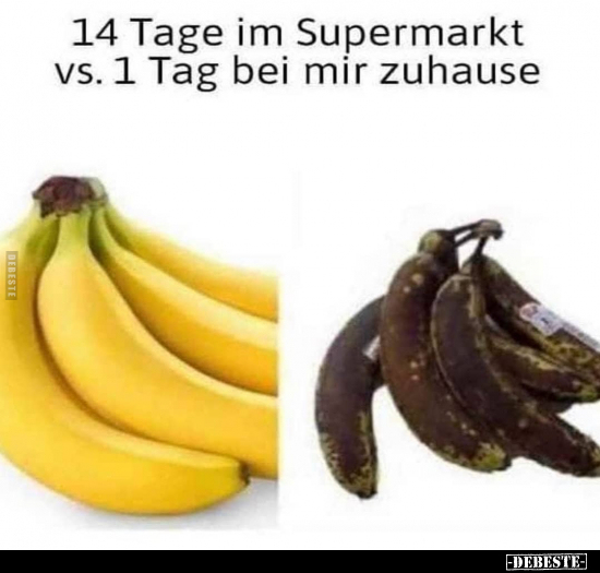 14 Tage im Supermarkt vs. 1 Tag bei mir zuhause.. - Lustige Bilder | DEBESTE.de