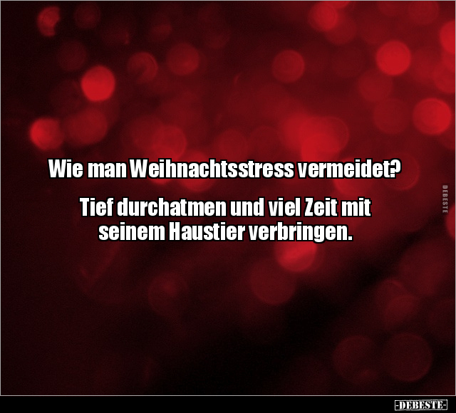 Wie man Weihnachtsstress vermeidet?.. - Lustige Bilder | DEBESTE.de