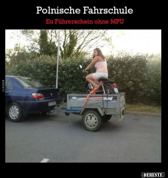 Polnische, Fahrschule, Führerschein, Ohne