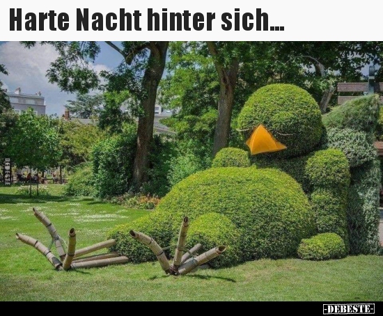 Harte Nacht hinter sich...