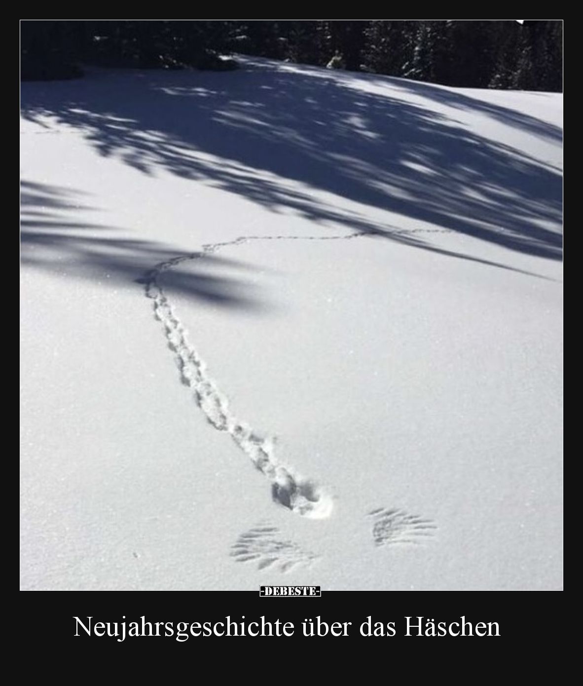 Neujahrsgeschichte über das Häschen