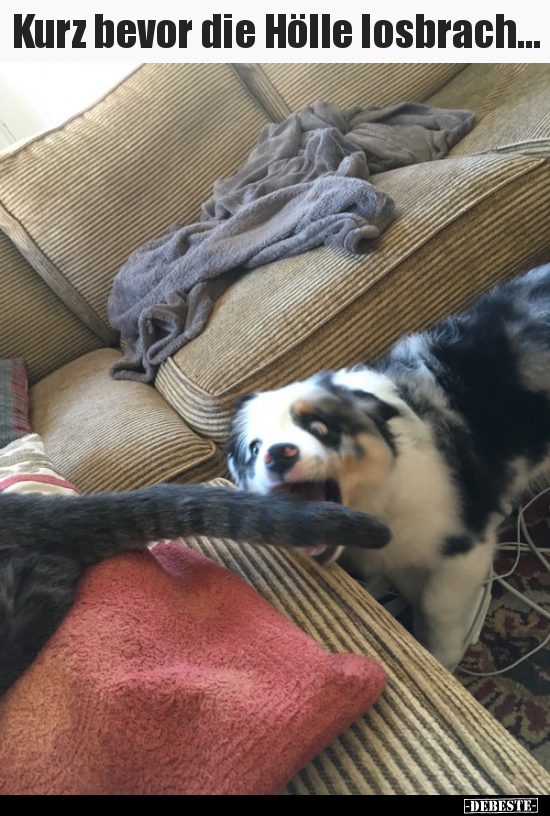 Kurz bevor die Hölle losbrach...
