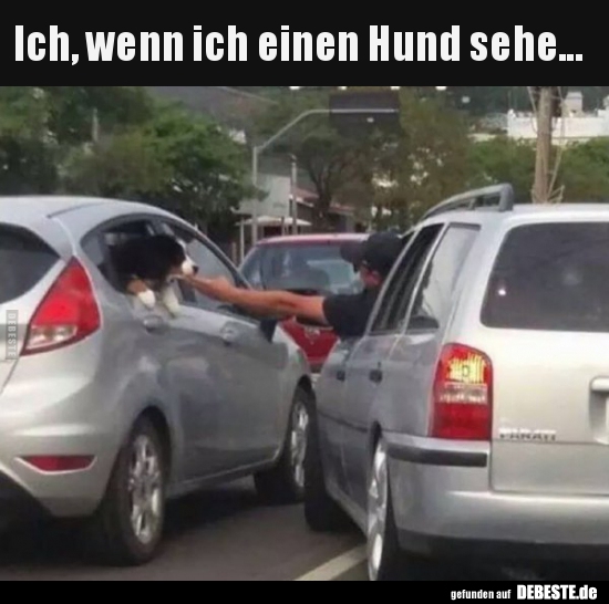 Ich, wenn ich einen Hund sehe...