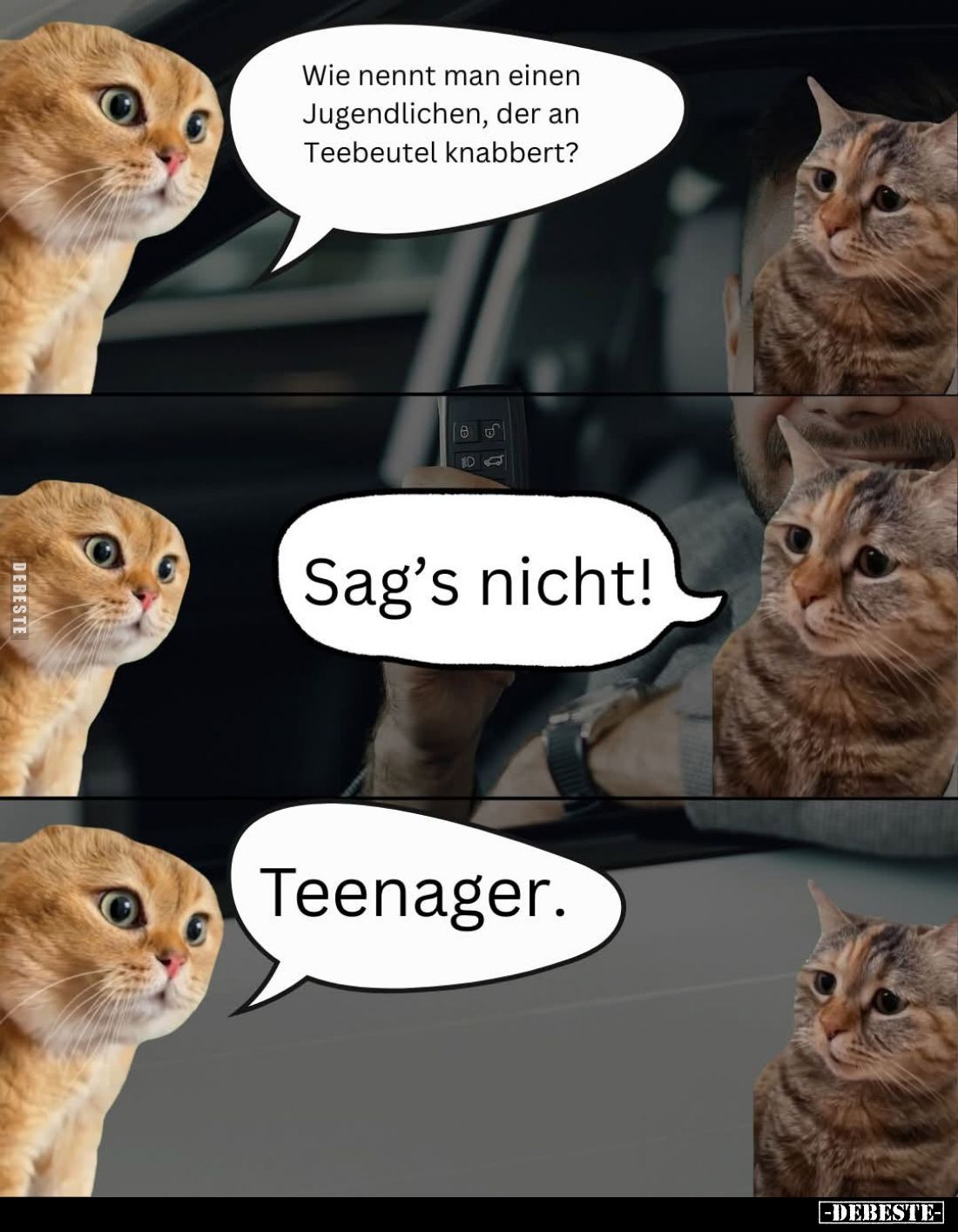 Wie nennt man einen Jugendlichen, der an Teebeutel knabbert? -
Sag's nicht! -
Teenager.