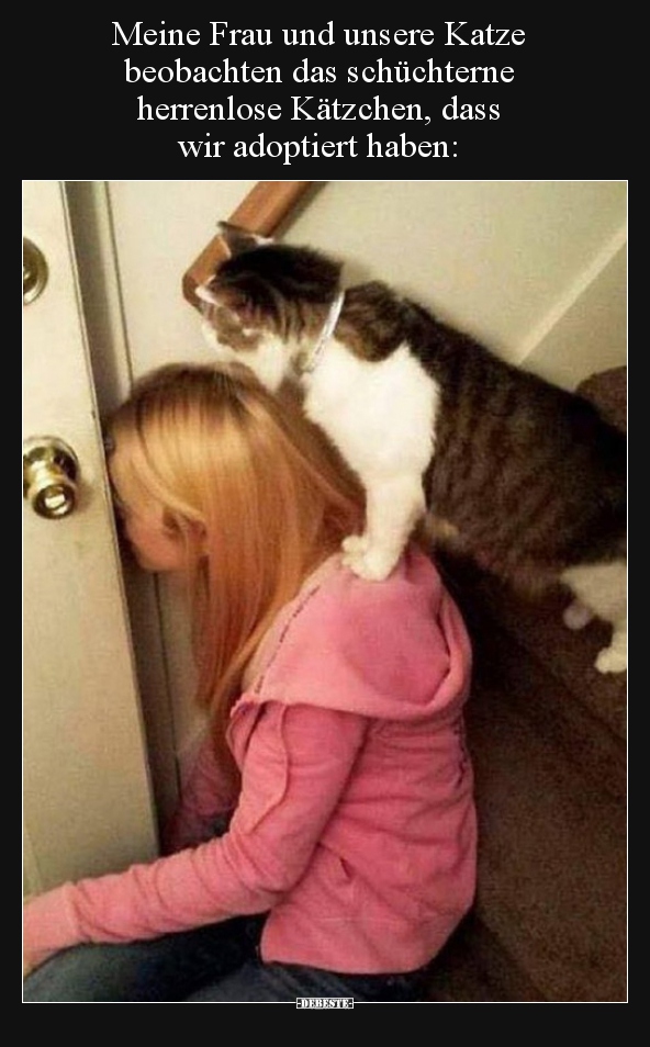 Meine Frau und unsere Katze beobachten das schüchterne..