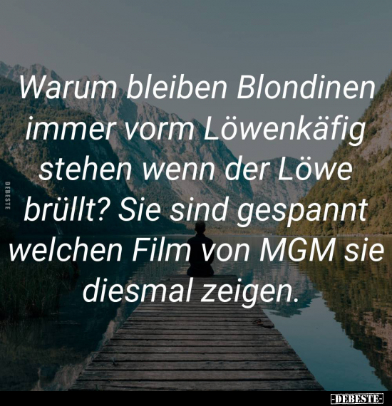 Warum bleiben Blondinen immer vorm Löwenkäfig stehen, wenn.. - Lustige Bilder | DEBESTE.de