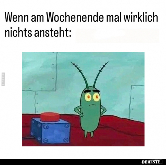 Wenn am Wochenende mal wirklich nichts ansteht.. - Lustige Bilder | DEBESTE.de