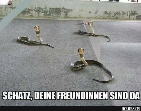 Schatz, deine Freundinnen sind da..
