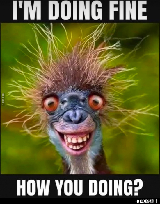 I'm doing fine.
How you doing?