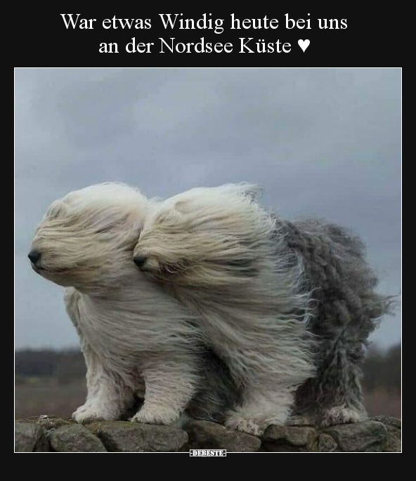 War etwas Windig heute bei uns an der Nordsee Küste ♥.. - Lustige Bilder | DEBESTE.de