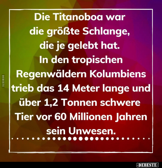 Die Titanoboa war die größte Schlange, die je gelebt hat... - Lustige Bilder | DEBESTE.de