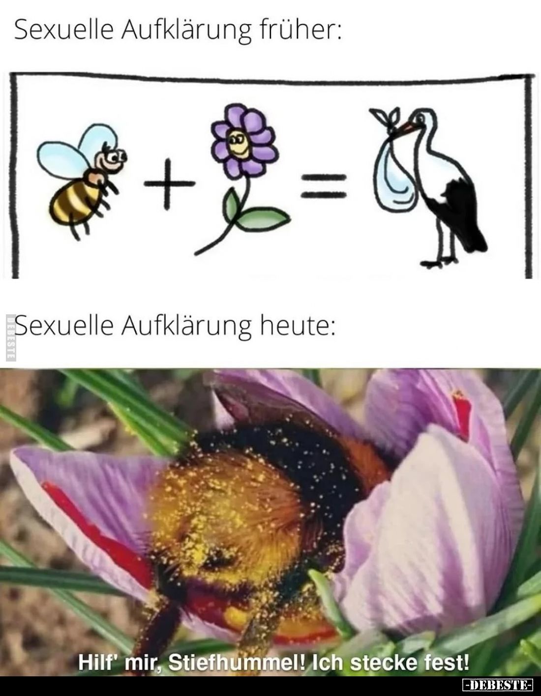 Sexuelle Aufklärung früher:
-
Sexuelle Aufklärung heute:
Hilf' mir, Stiefhummel! Ich stecke fest!