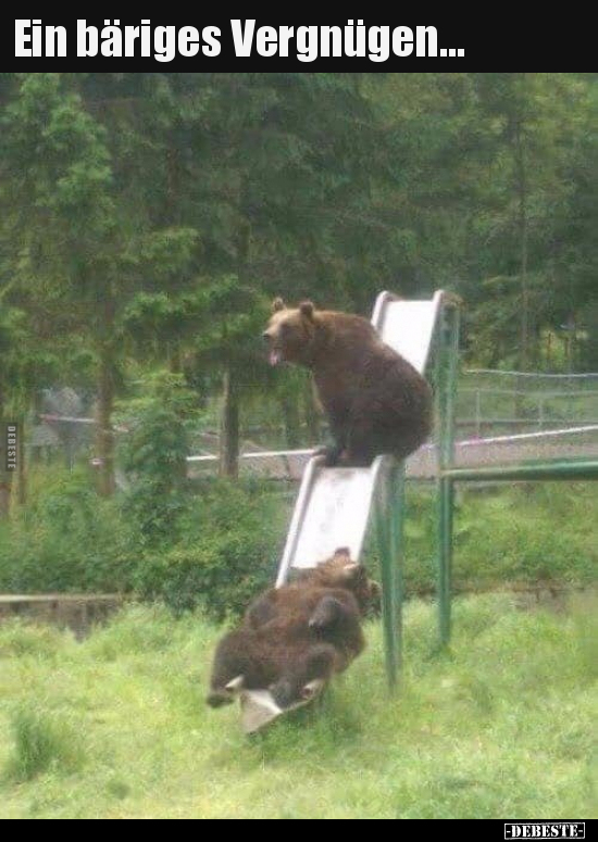 Ein bäriges Vergnügen...