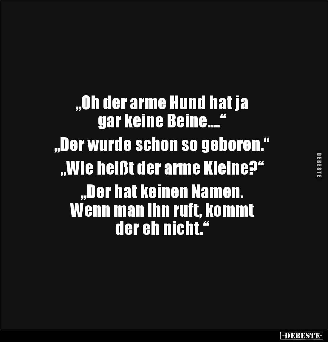 "Oh der arme Hund hat ja gar keine Beine....".. - Lustige Bilder | DEBESTE.de