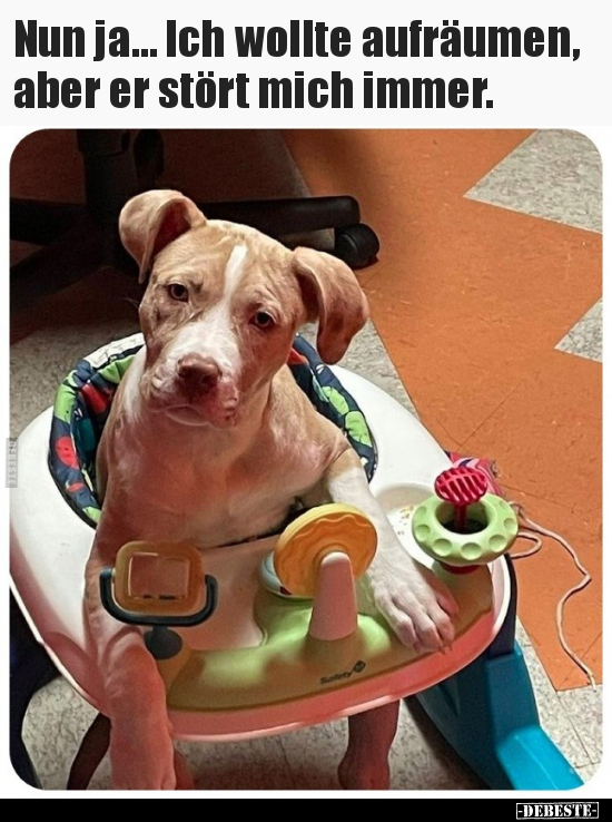 Nun ja… Ich wollte aufräumen, aber er stört mich immer.