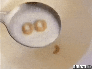 Hätte so schön sein können..