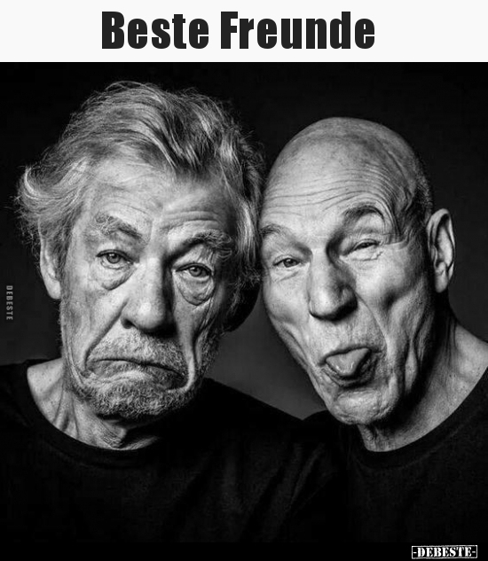 Beste Freunde..