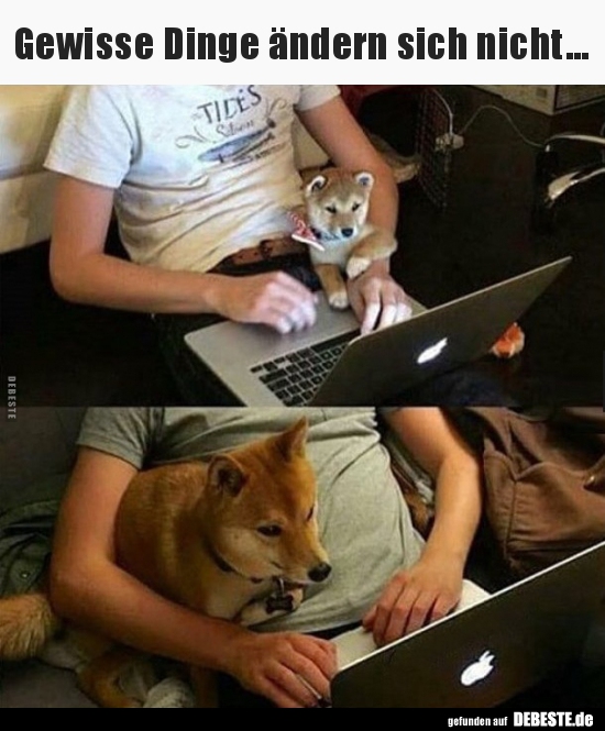 
Gewisse Dinge ändern sich nicht...
