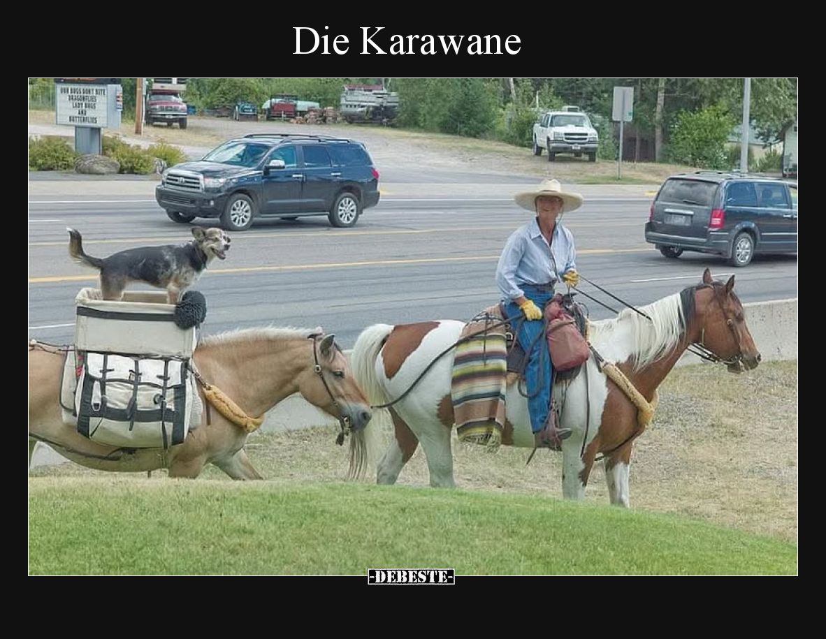 Die Karawane