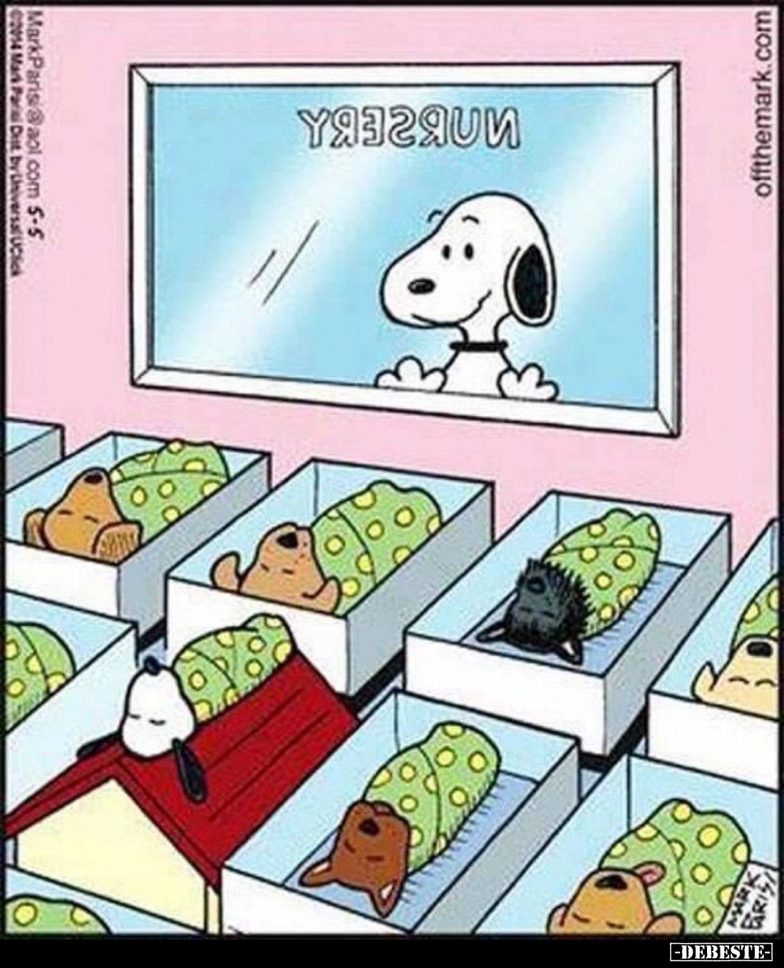  - Lustige Bilder | DEBESTE.de