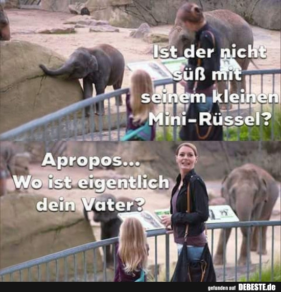 Ist der nicht süß mit seinem kleinen Mini-Rüssel?
Apropos... Wo ist eigentlich dein Vater?