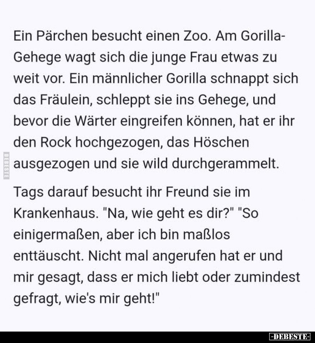 Ein Pärchen besucht einen Zoo.
Am Gorilla-Gehege wagt sich die junge Frau etwas zu weit vor.
Ein männlicher Gorilla schnapp...