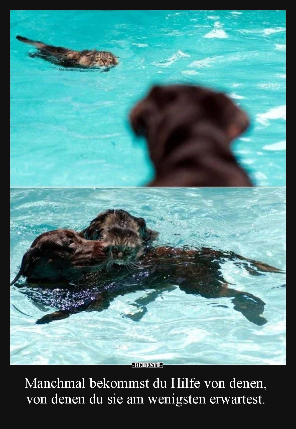 Manchmal bekommst du Hilfe von denen, von denen du sie am wenigsten erwartest.