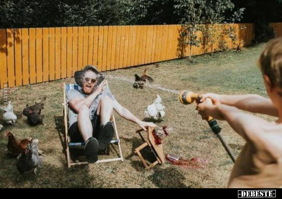  - Lustige Bilder | DEBESTE.de