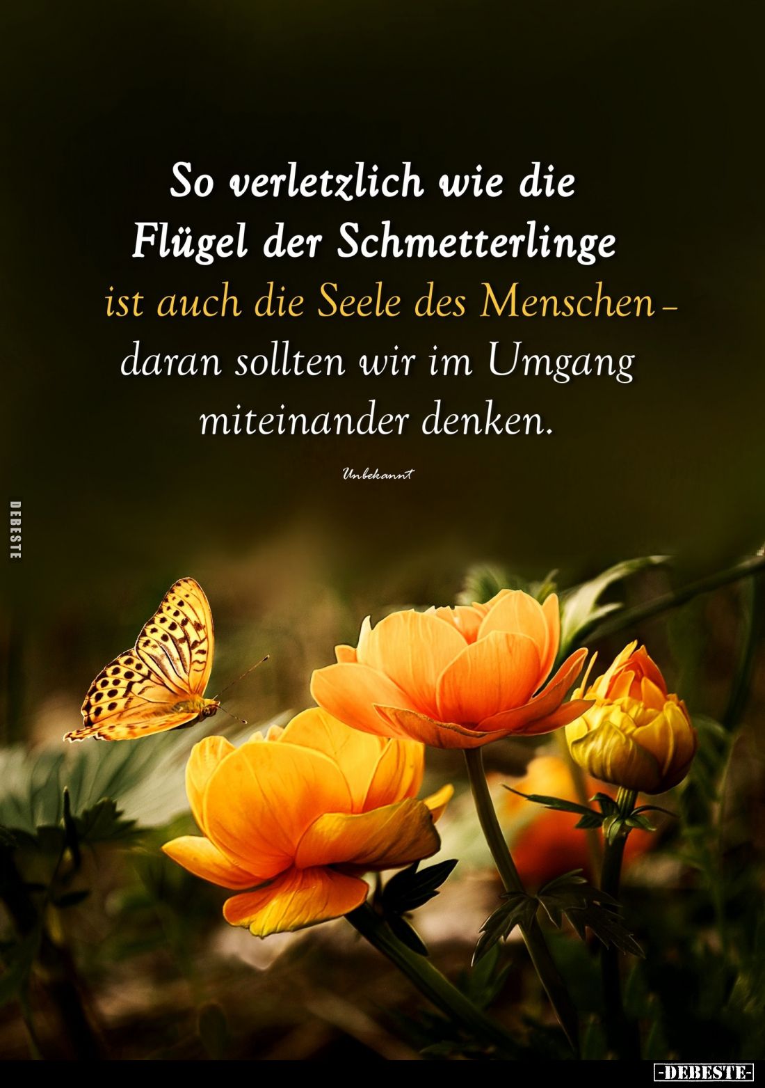 So verletzlich wie die Flügel der Schmetterlinge
ist auch die Seele des Menschen-daran sollten wir im Umgang miteinander den...