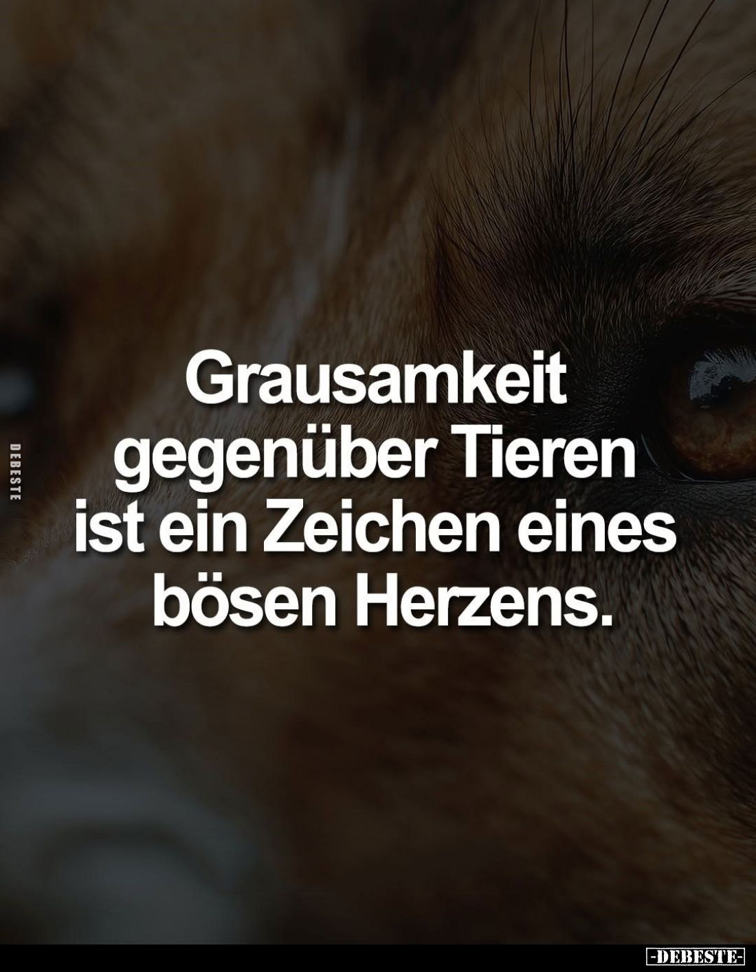 Grausamkeit gegenüber Tieren ist ein Zeichen eines bösen Herzens.