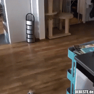 Falsch abgesprungen..