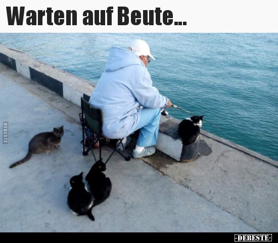 Warten auf Beute... - Lustige Bilder | DEBESTE.de