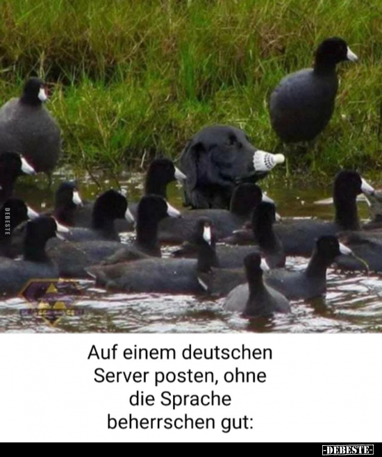 Auf einem deutschen Server posten, ohne die Sprache.. - Lustige Bilder | DEBESTE.de