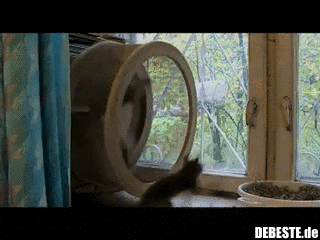 Macht sichtlich Spaß...