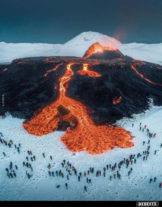  - Lustige Bilder | DEBESTE.de