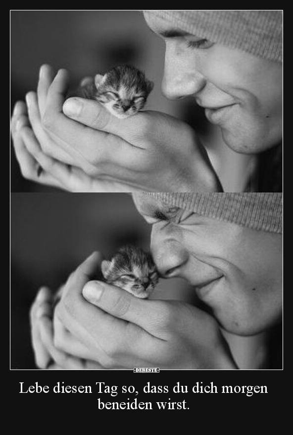 Lebe diesen Tag so, dass du dich morgen beneiden wirst.