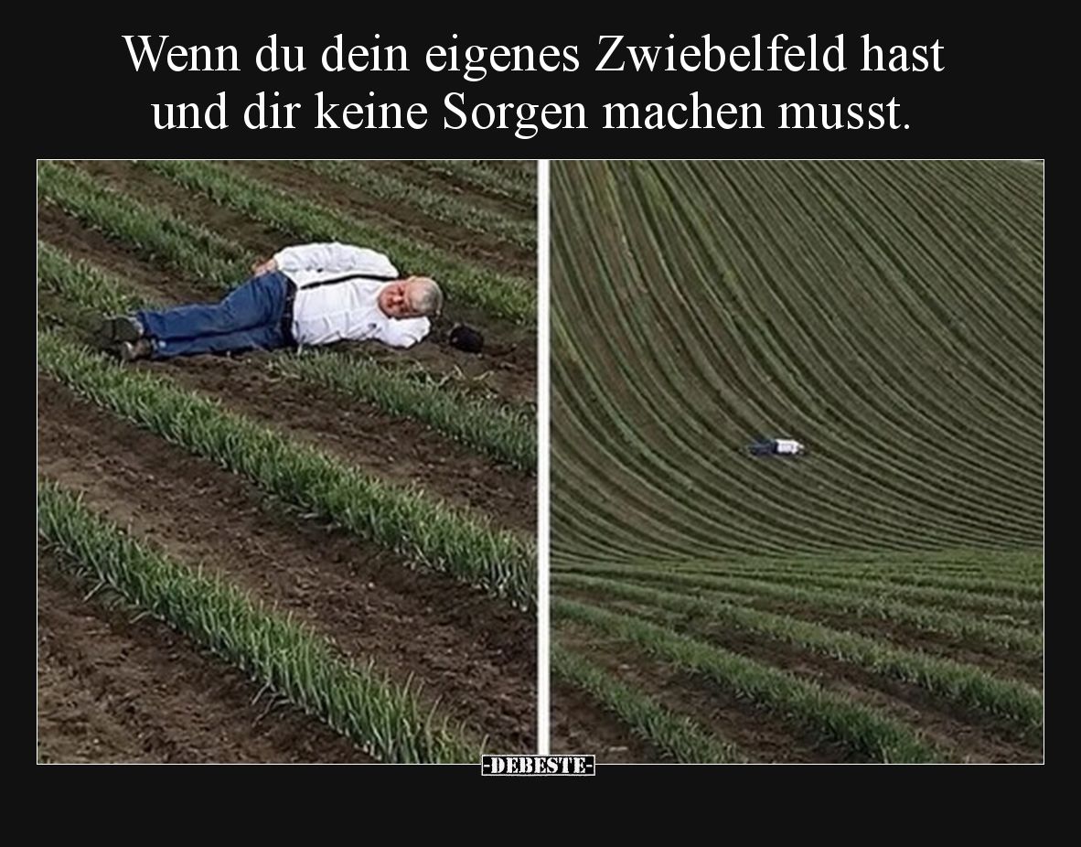 Wenn du dein eigenes Zwiebelfeld hast und dir keine Sorgen machen musst.