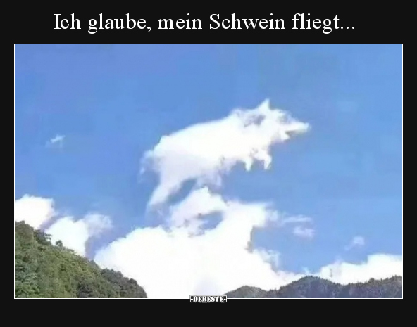Ich glaube, mein Schwein fliegt... - Lustige Bilder | DEBESTE.de